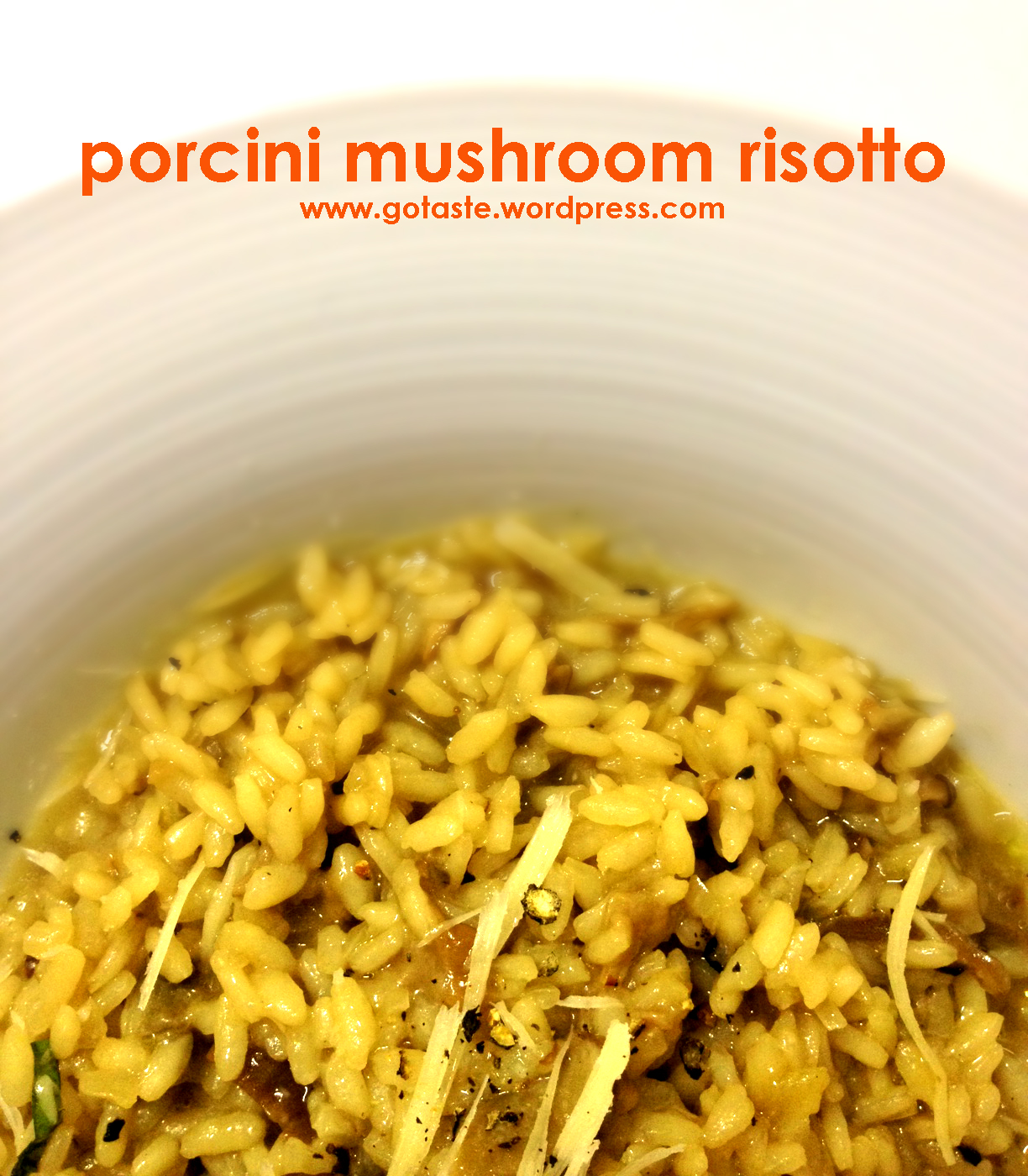 Dried Porcini Mushrooms Risotto Recipes
